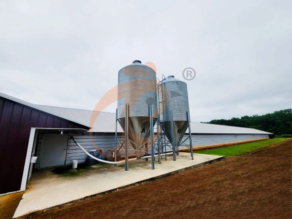 poultry feed silo in closed house