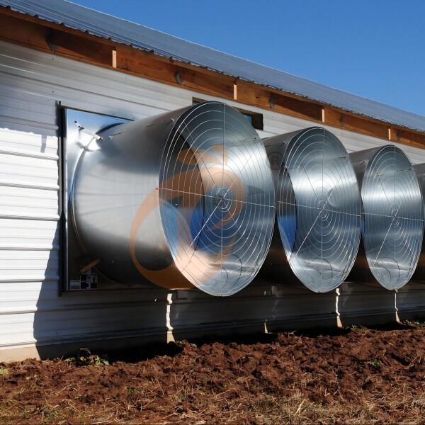 poultry house ventilation 2 (2)