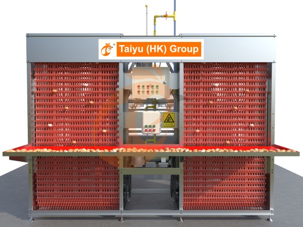 A type automatic layer battery cage (3)