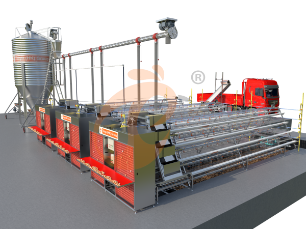 Gaiolas De Frango De Alta Qualidade À Venda Na Nigéria: Compre Diretamente Da Nossa Fábrica Local E Economize Mais