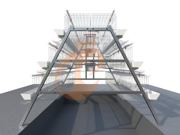 battery cage for layers (8)