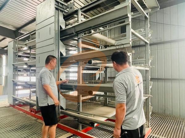 Filial da Etiópia Oferece Plano de Negócios para Fazenda Avícola, Fabrica Equipamentos para Fazenda Avícola