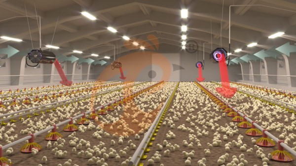 Poultry house heater (7) Poultry house heater (7)