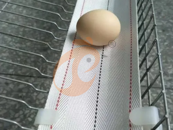 Como as gaiolas de frango tipo H duráveis da Etiópia podem reduzir as despesas de longo prazo da fazenda?