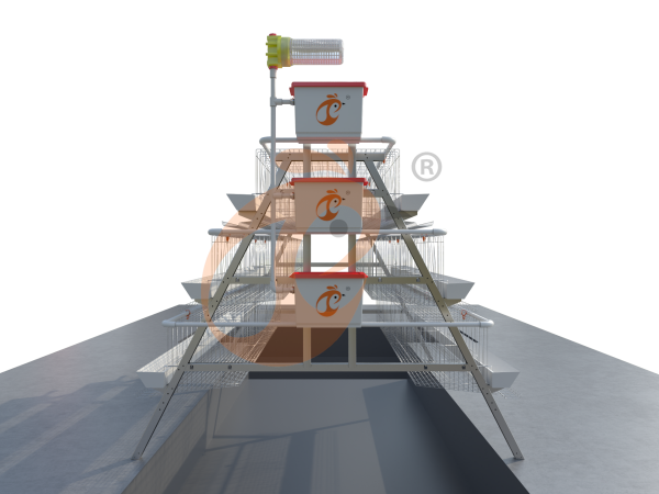 Qual é a densidade de lotação ideal para uma gaiola de galinhas poedeiras tipo A na Etiópia? 5 dicas práticas