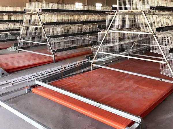 Manure Removal System2 (2)