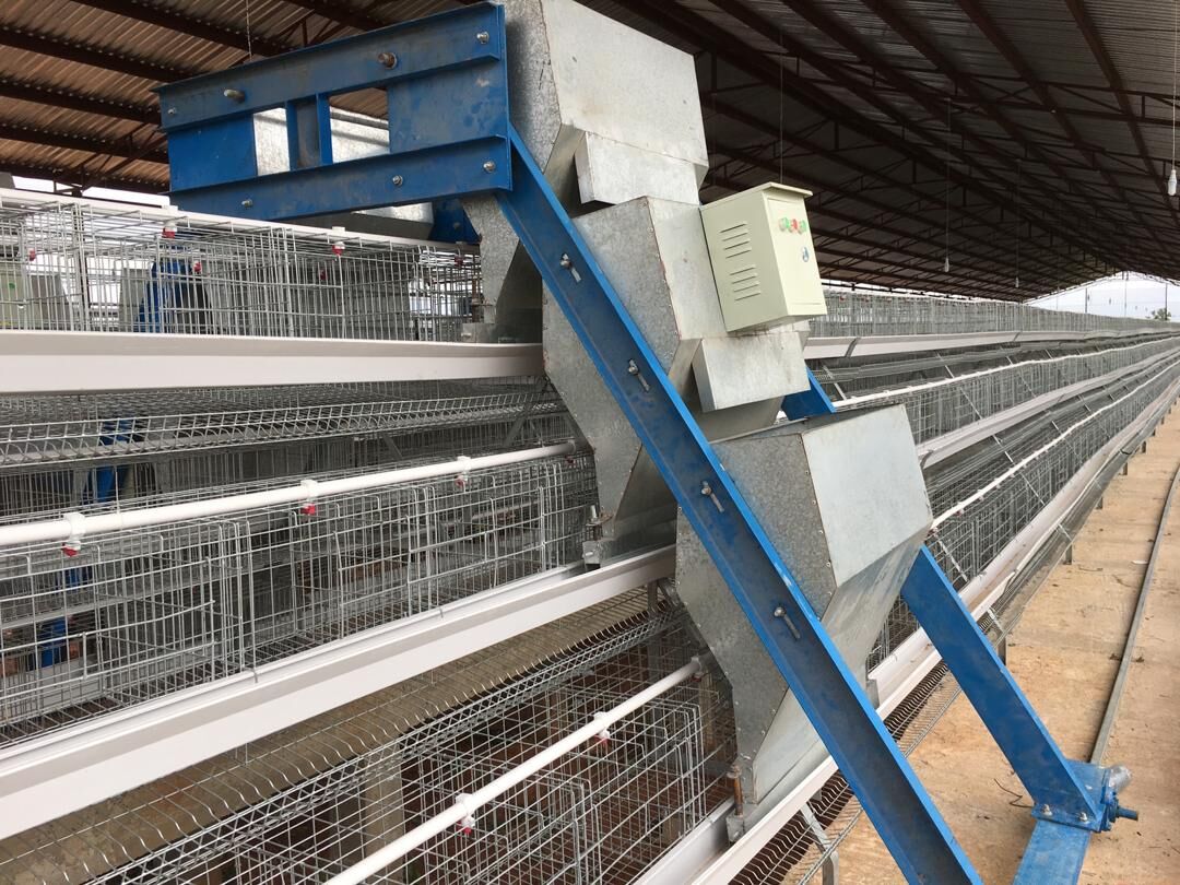 Introdução do carrinho de alimentação para uma granja avícola