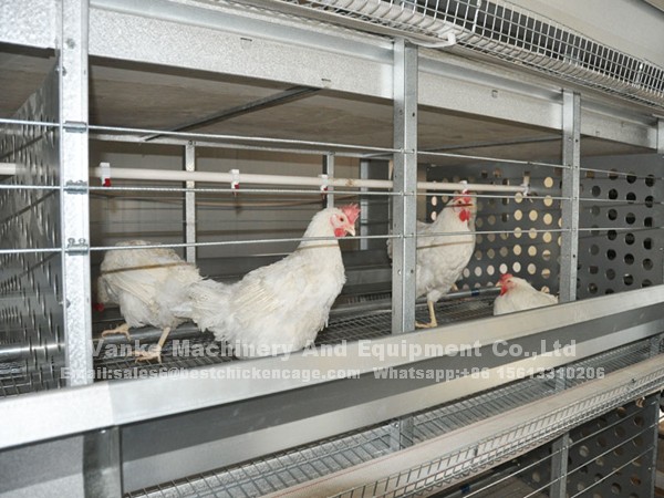 h-frame-breeding-cage-3_副本.png