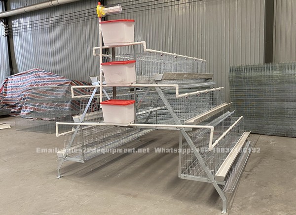 How can we choose battery cage system and poultry equipment for different kinds of chicken