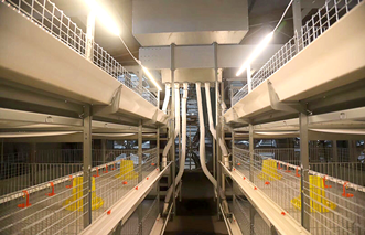 Introdução detalhada da gaiola de bateria tipo A ou H para aviário de frangos de corte na Nigéria