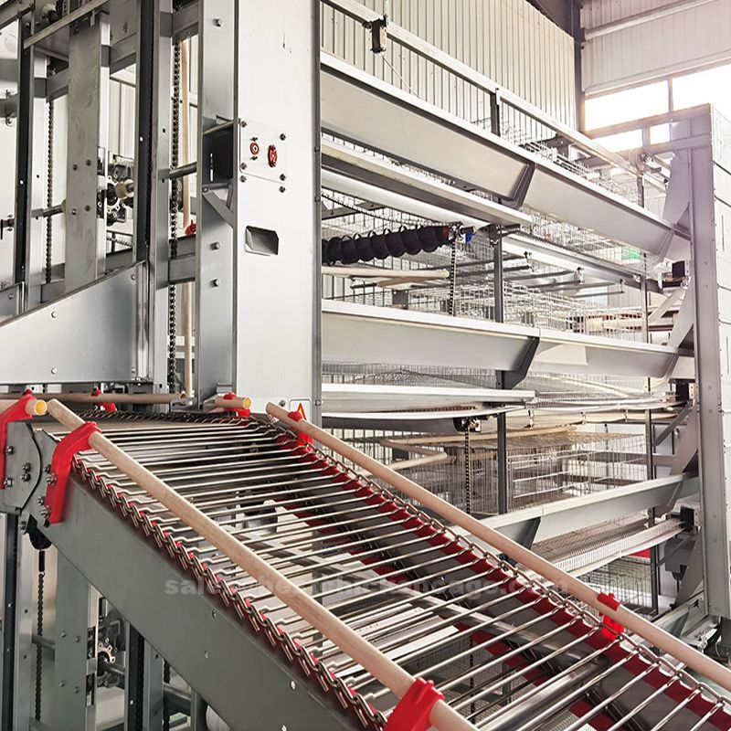 battery cage1.jpg