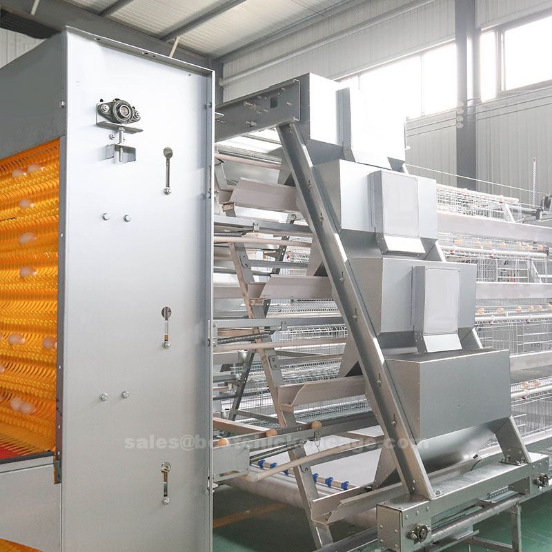 battery cage system1.jpg The helpful knowledge of the battery cage system