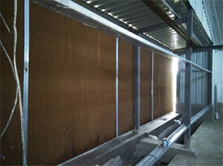 Our company finished breeder chicken cage project