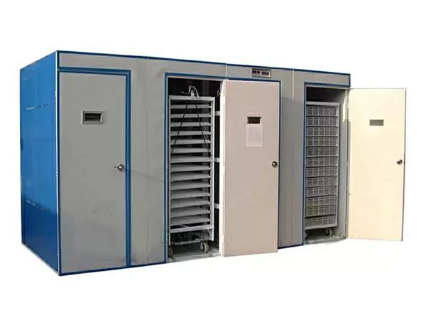 Máquina de Incubação de Ovos