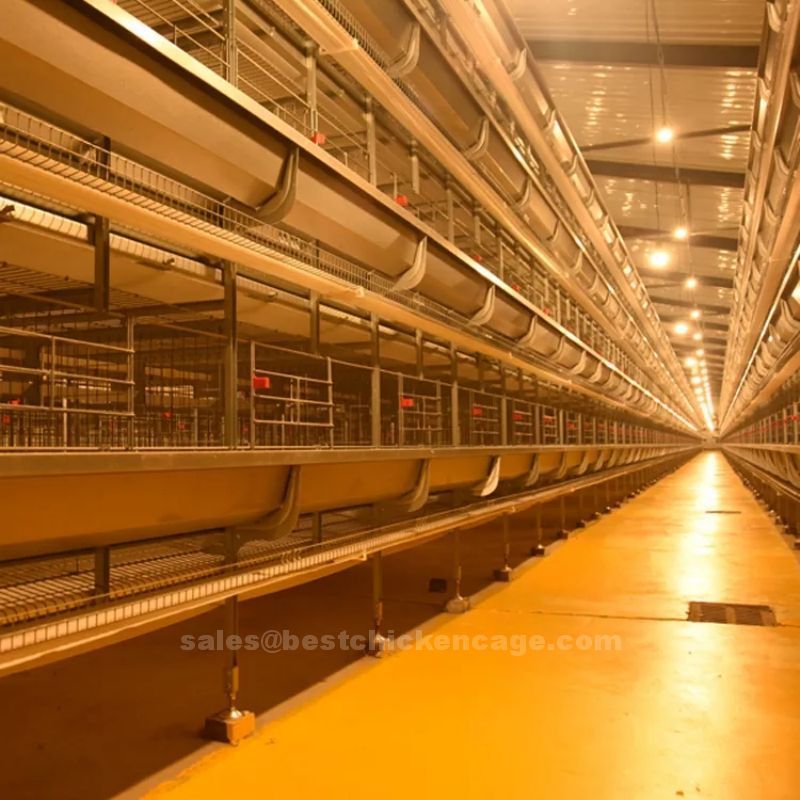 New type of chicken cage for poultry farm advantages chicken cages with higher automation can save the land resources
