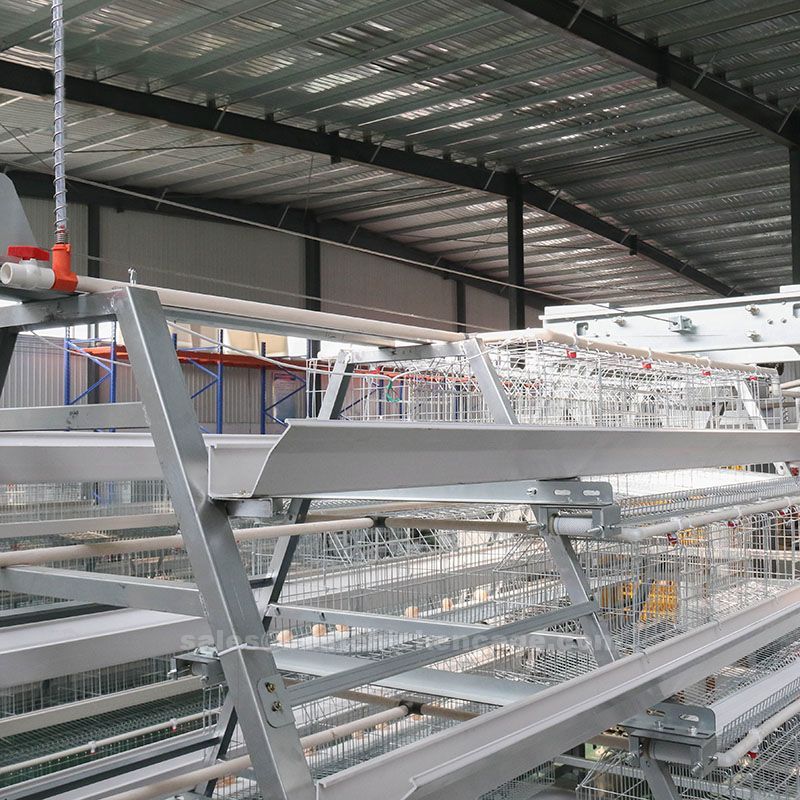 Operation and maintenance instructions for A type feeding machine in battery cage