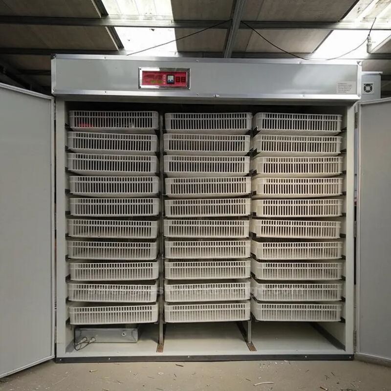 Do you know these on egg incubator in poultry farm