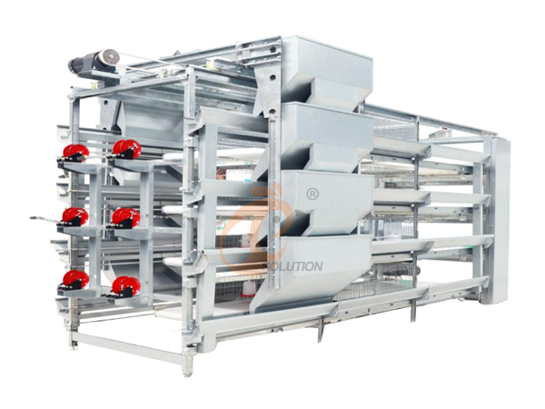 Cage à poulets de chair, >30 000 poulets/bâtiment, récolte manuelle des poulets, cage à poulets de type H automatique