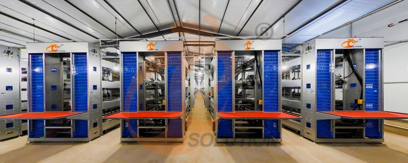 battery cage egg collection (1)