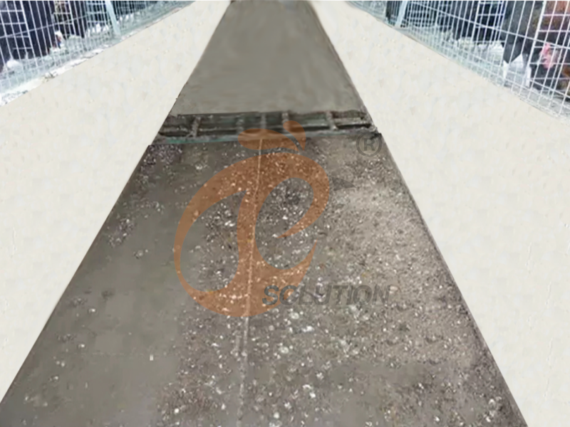 Système de raclage de fumier pour cages de volaille