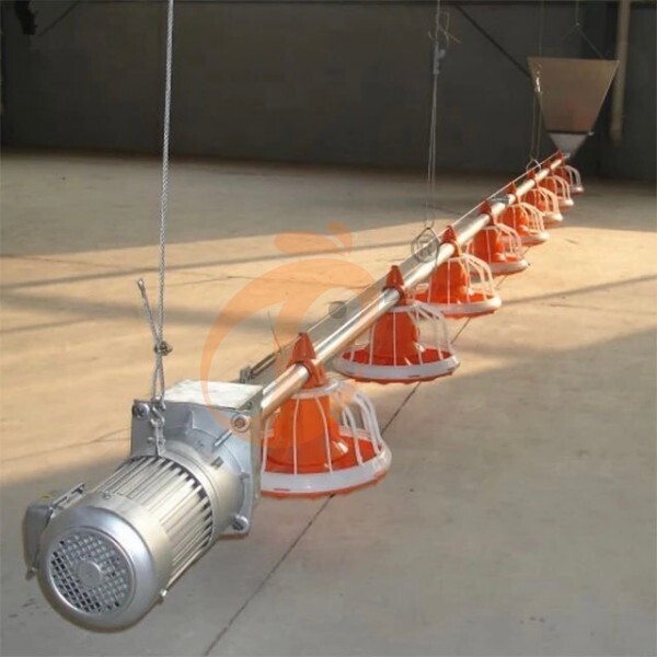 deep litter system (17) deep litter system (17)