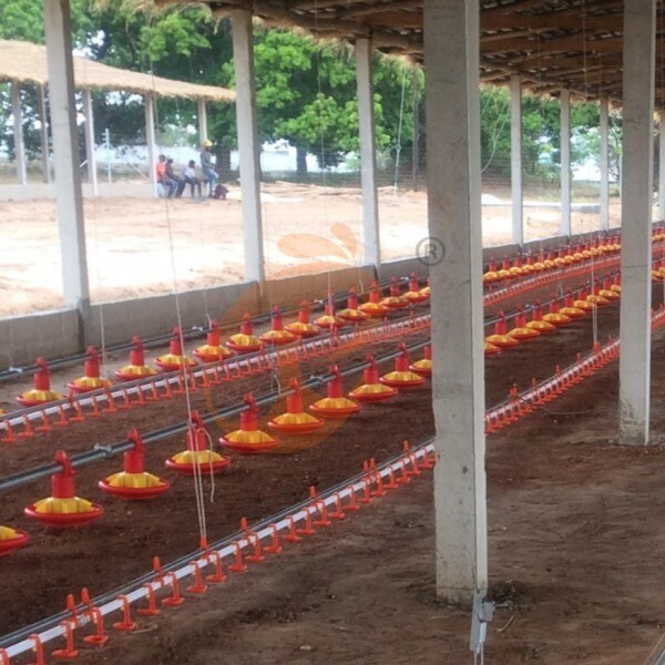 deep litter system 1 (5)