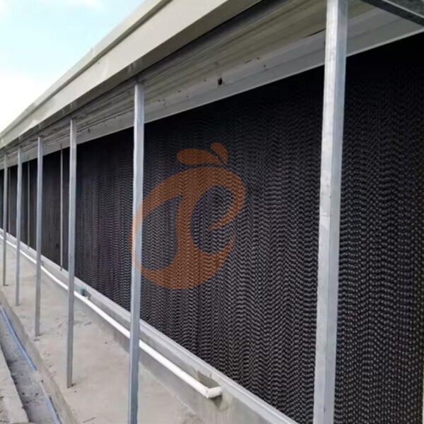 deep litter system 1 (8)