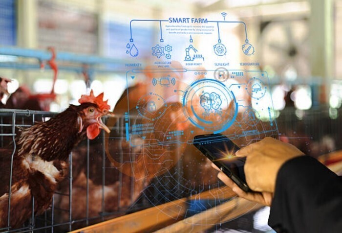 IOT poultry system (1)