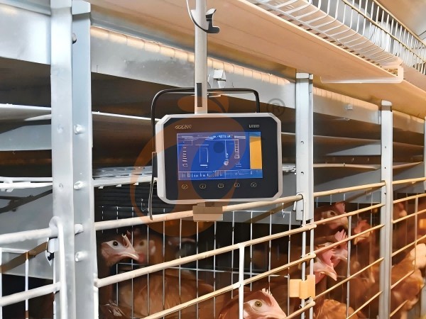IOT poultry farm-hardware (3) IOT poultry farm-hardware (3)
