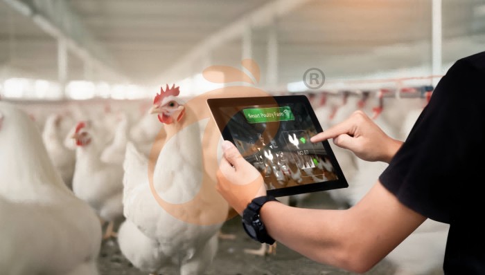 IOT poultry farm 1 (2) IOT poultry farm 1 (2)