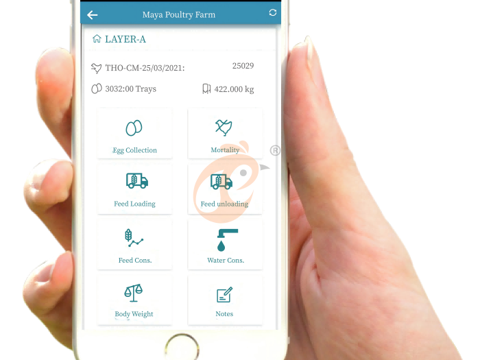 Système d'élevage de volailles intelligent IoT, plateforme cloud d'élevage intelligent Vcloud fusion dans l'élevage de volailles