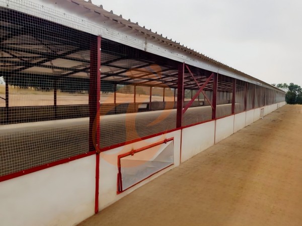 Prefab steel poultry house (9) Prefab steel poultry house (9)