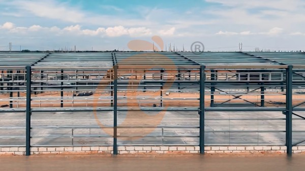 poultry house (5) poultry house (5)