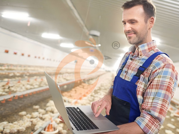 Les Densités De Stockage Des Cages De Pondeuses Respectent-Elles Les Normes Nigérianes De Bien-Être Animal ?