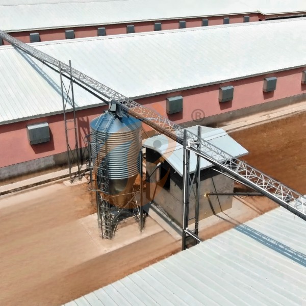 deep litter system - feed silo (2) deep litter system - feed silo (2)