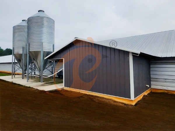 poultry deep litter with feed silo (1) poultry deep litter with feed silo (1)
