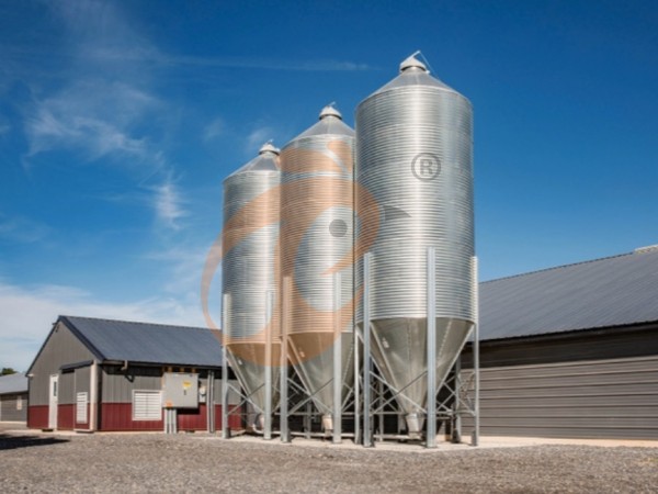 poultry feed silo (1) poultry feed silo (1)