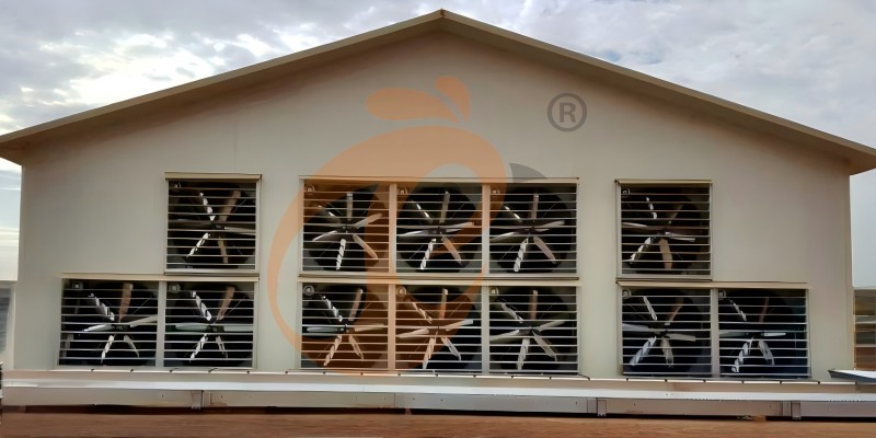 poultry house ventilation  (3)