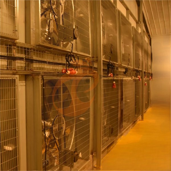 poultry house ventilation 2 (4)