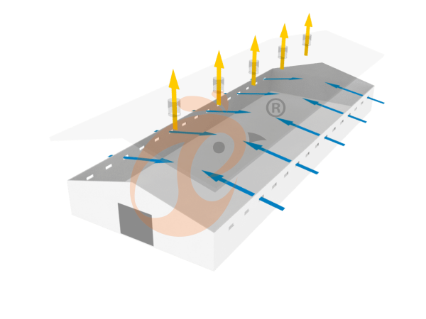 Système de ventilation et de contrôle de la température pour volailles
