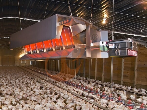 Poultry heater Poultry heater