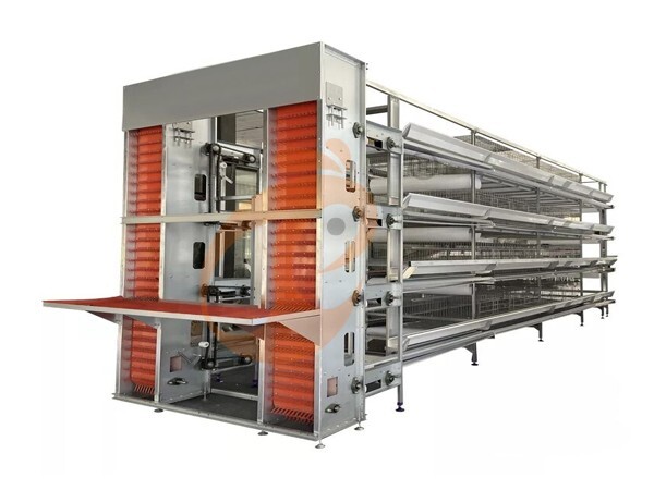 Cage à piles automatique de type H pour plus de 30 000 poules pondeuses