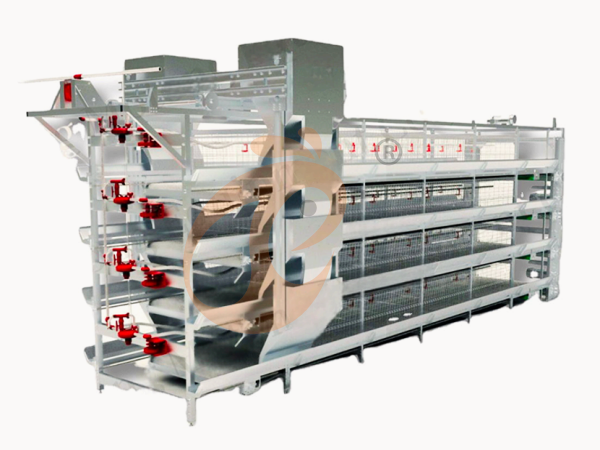 Combien de poulets peuvent tenir dans une cage standard pour pondeuses au Nigeria ?