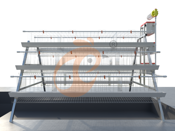 Cages de volaille fabriquées localement à un prix abordable au Nigeria : qualité et durabilité