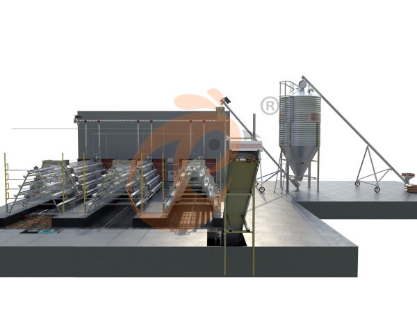 10,000 - 30,000 poules pondeuses Cage en batterie automatique de type A