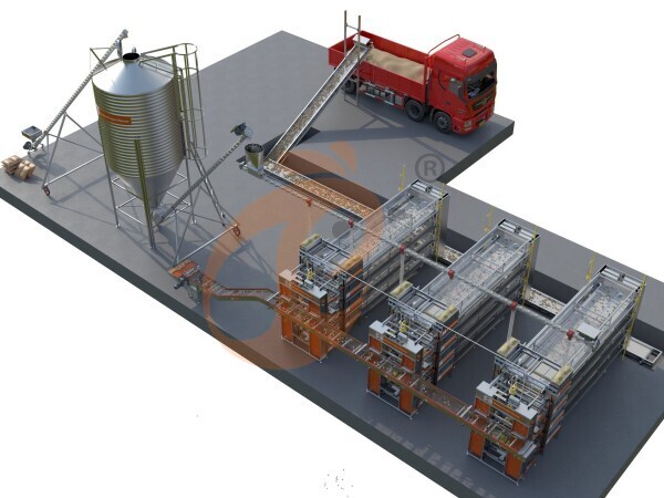 >30 000 poules pondeuses Cage en batterie automatique de type H