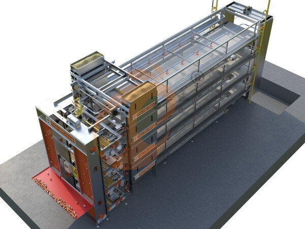 >30 000 poules pondeuses Cage en batterie automatique de type H