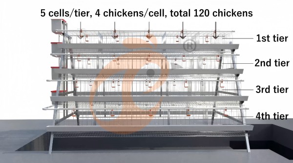 battery cage poultry farm