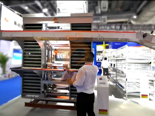 La filiale chinoise propose un plan d'entreprise pour les fermes avicoles et fabrique des équipements pour fermes avicoles