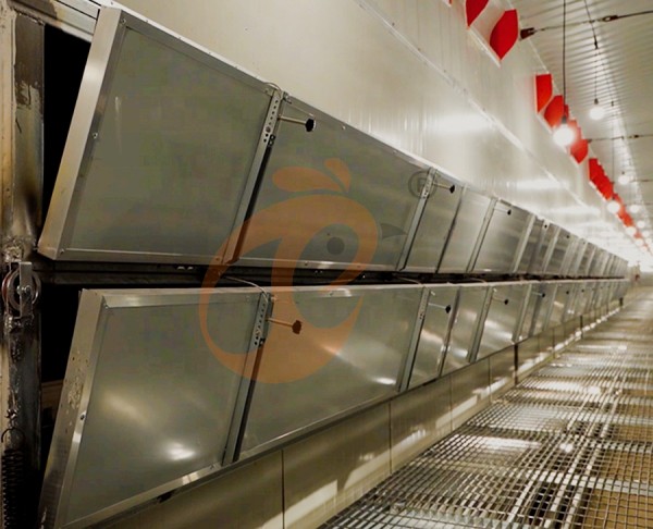 poultry house ventilation 0 (3)